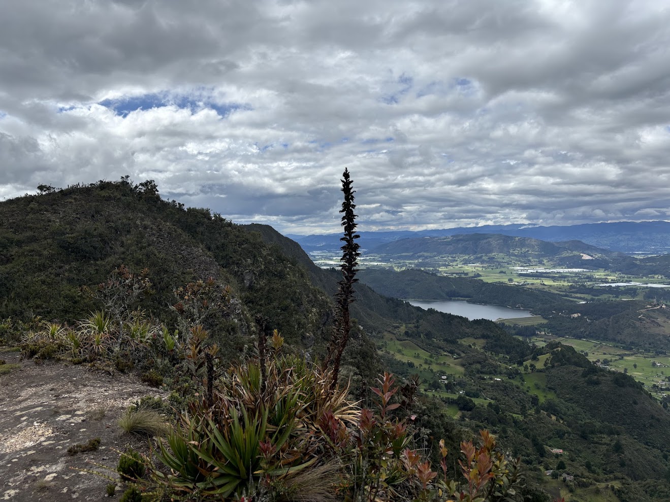 Colombian páramo with valley view